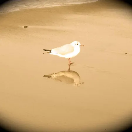 Haus Milena/jule Appartement *